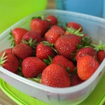 Frischhalte Dose aus Kunststoff, gefüllt mit Erdbeeren
